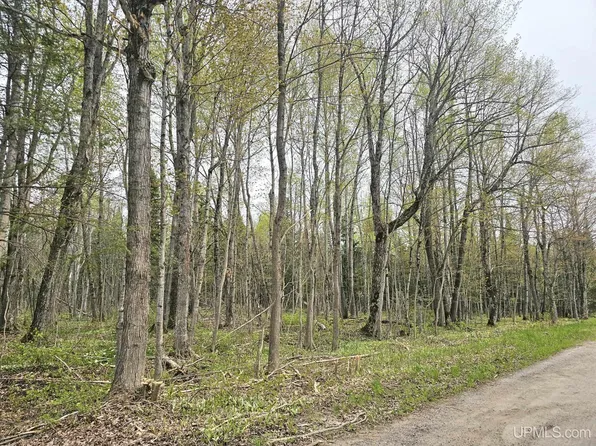 Vanatta Rd, Gulliver, MI 49840