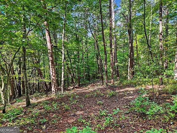 5th image of 417 Kelly Mountain Rd