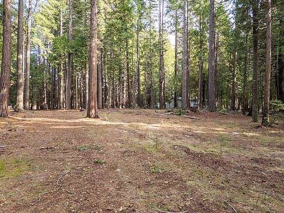 5th image of Thatcher Mill Rd