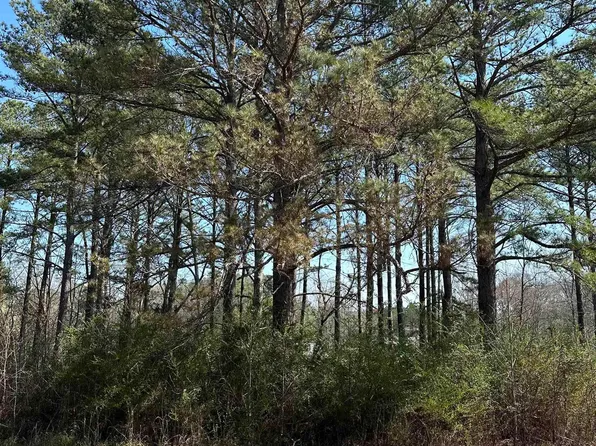 Randolph Rd #4 & 5, Wedowee, AL 36278