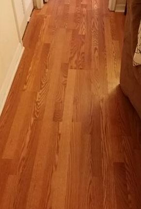 4th image of 8939 Latrec Ave APT 203