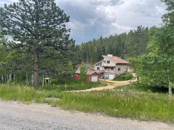 760 N Pine Drive, Bailey, CO 80421