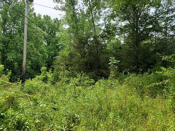 2nd image of 842 Dave England Rd