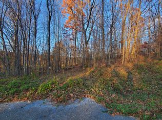 Beech Springs Rd, Pennington gap, VA 24263