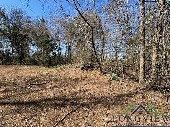 4th image of LOT 1 County Road 4365
