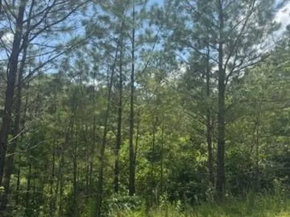LOT 43&44 Reece Mountain Rd, Ellijay, GA 30536