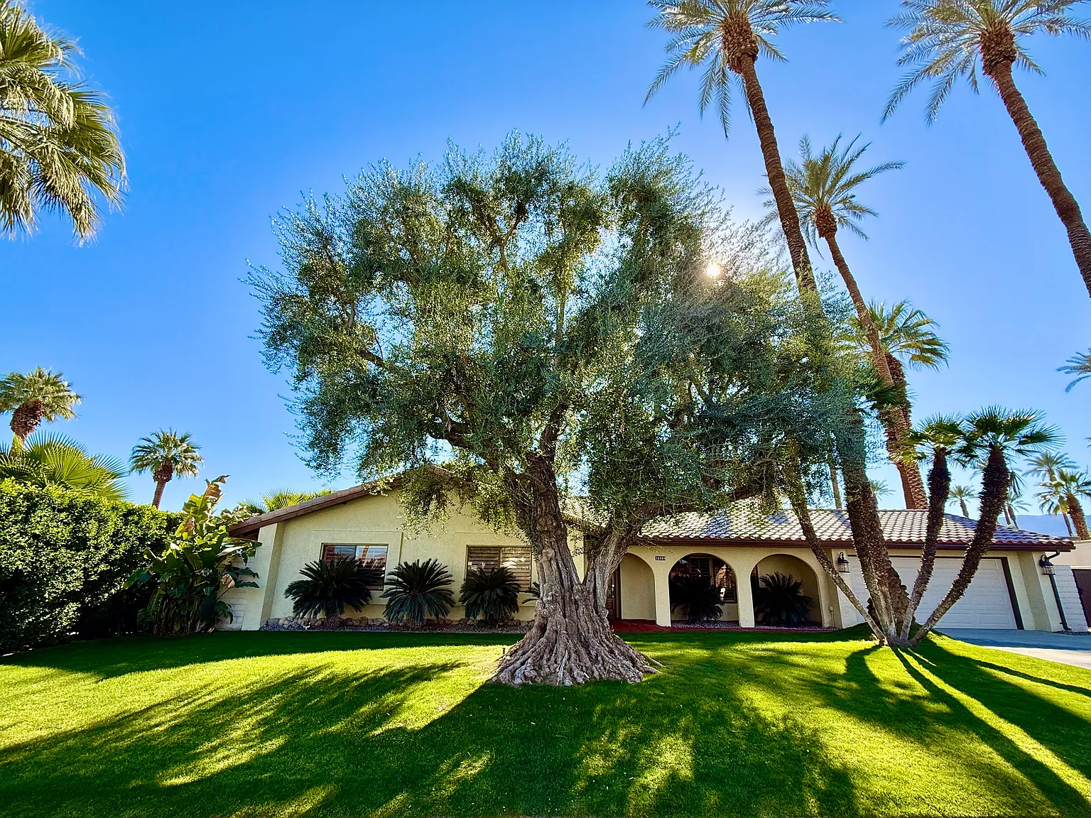 3 bed, 2.5 bath, 2128 sqft, $6,000 — Photo 2