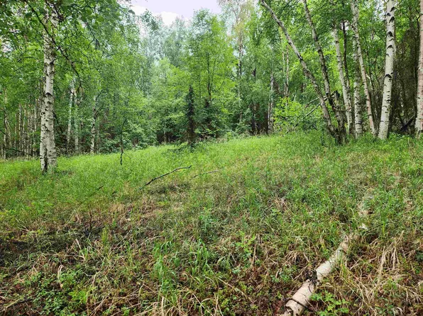 680 Leuthold Dr, Fairbanks, AK 99712