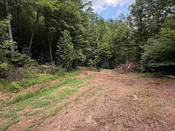 4th image of 5.85 Ac Emory Shield Road
