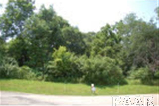 2nd image of LOT 3 S Deer Run