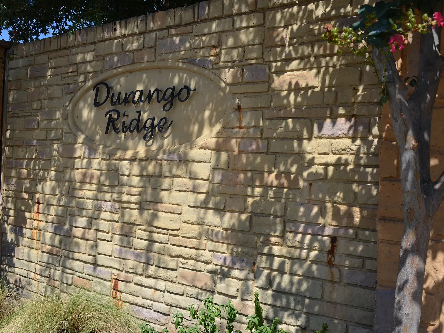 3 bed, 2.5 bath, 1488 sqft, $2,250 — Photo 3