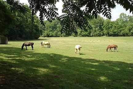 view from front porch
