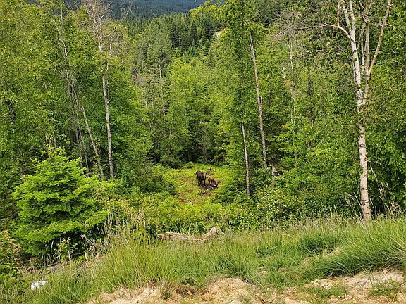 5th image of Nka Mellick Rd