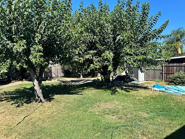 131 S Olive Ave — Photo 22