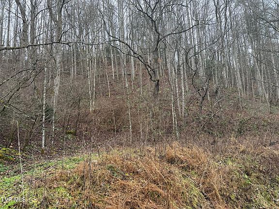5th image of Tbd Tiger Creek Rd