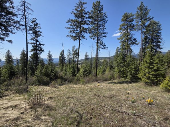 2593 Burnt Valley Rd, Chewelah, WA 99109
