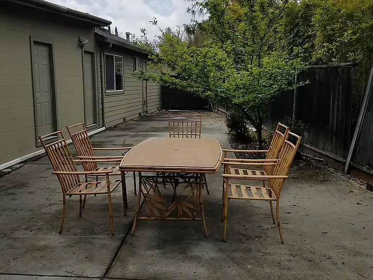 right side yard with mature prune tree