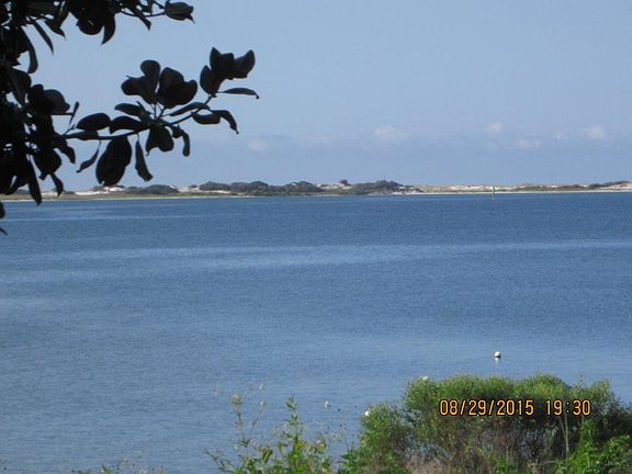 view from back yard