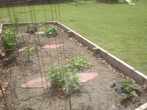 Raised Bed Garden & 6ft Privacy Fence