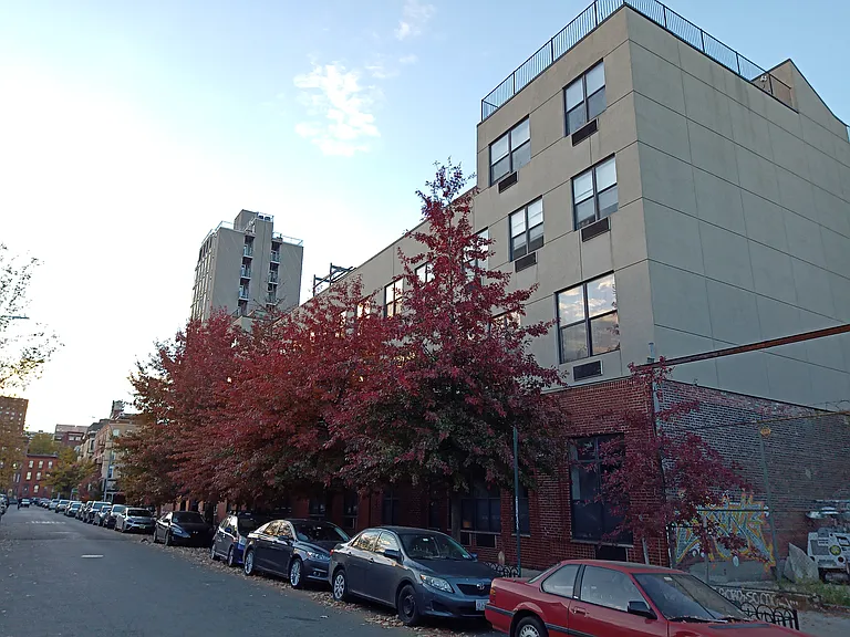41 Kosciuszko St #109 — Photo 17