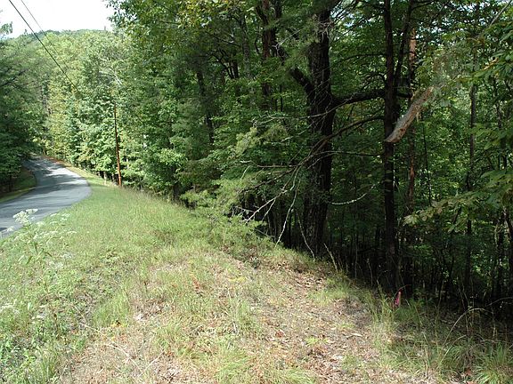 3rd image of 181 Lakewood Dr