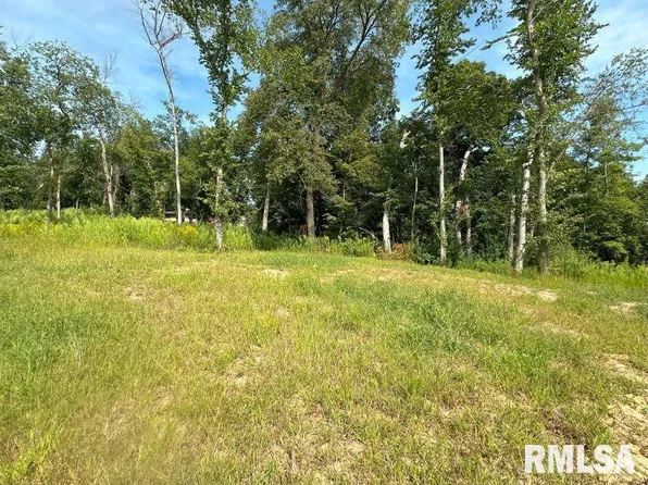 LOT 2 225th St, De Witt, IA 52742