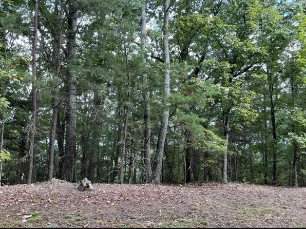 W Farmview Rd #34, Talking Rock, GA 30175
