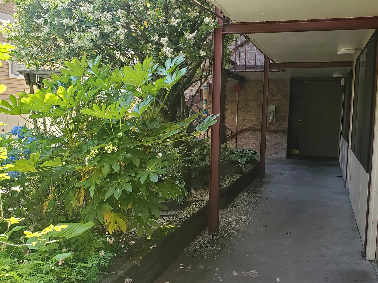 1 bed, 500 sqft, $1,545 — Photo 2