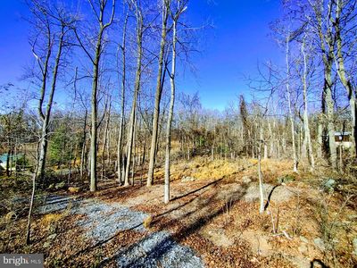 Source Ln, Linden, VA, 22642