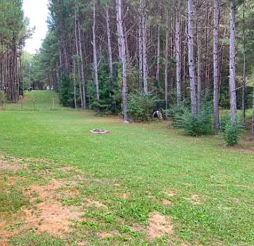 Road 452 — Photo 8