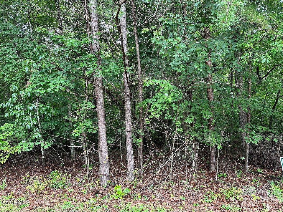 2nd image of 26 & 28 Ivydale Ln