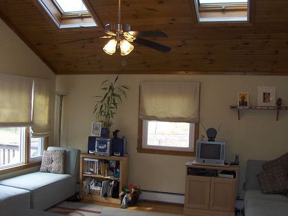 Skylights and Picture Window