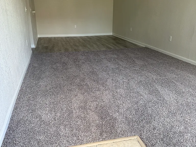 2x2 living room half carpet/plank
