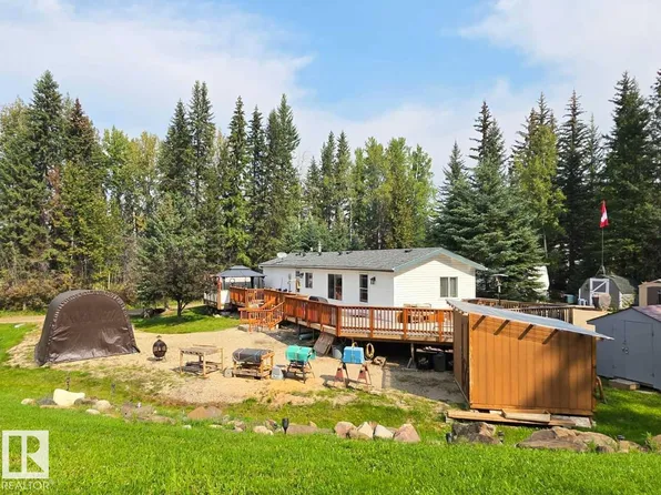 5429 Township Rd #494-18, Brazeau County, AB T0C 1W0