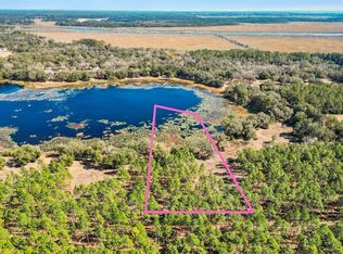 Highway 42, Weirsdale, FL 32195