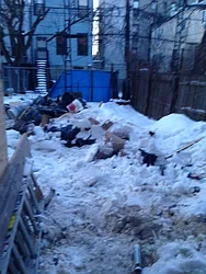 Rented by Subway Management