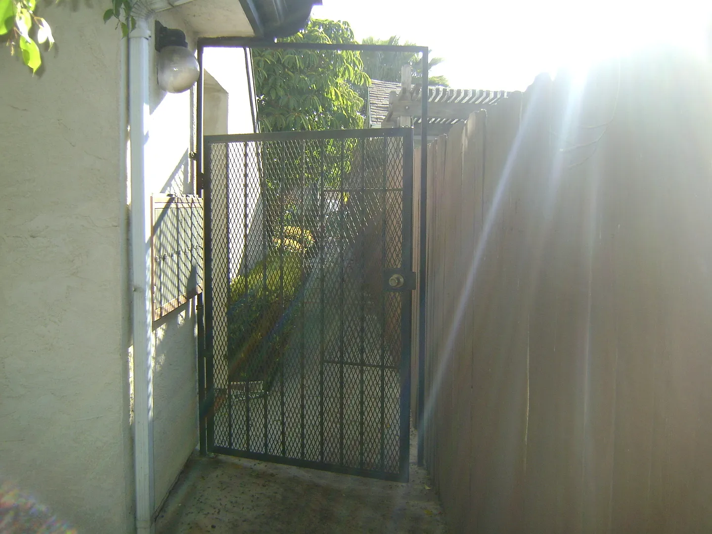 26 — Photo 3