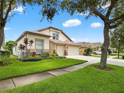 15531 Martinmeadow Dr, Lithia, FL, 33547