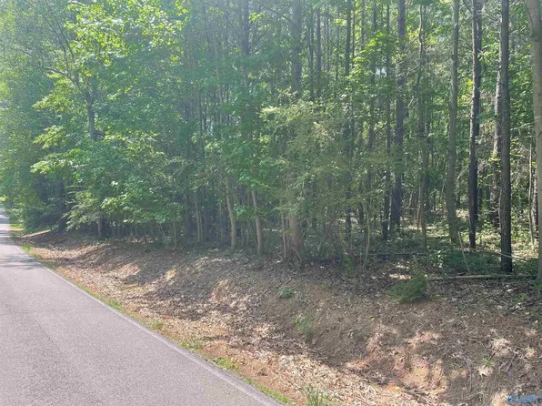 3 York Dr, Rogersville, AL 35652