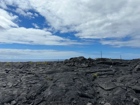 Lot 59, Pahoa, HI 96778