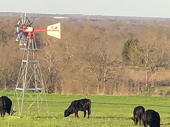 3rd image of 17151 County Road 4056
