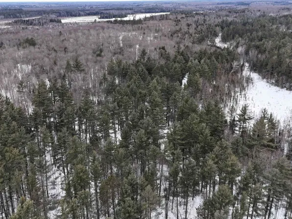 ON BEARSKULL RD, Park Falls, WI 54552