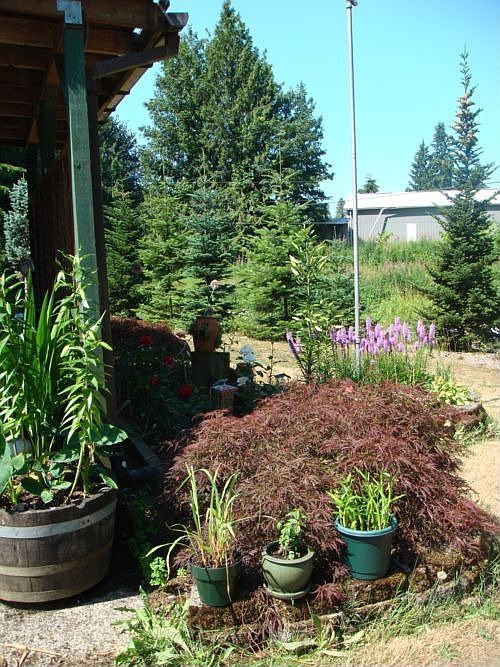 Flag Pole Garden (2)