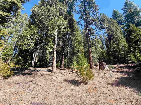 7400 State Highway 147, Lake Almanor, CA 96137