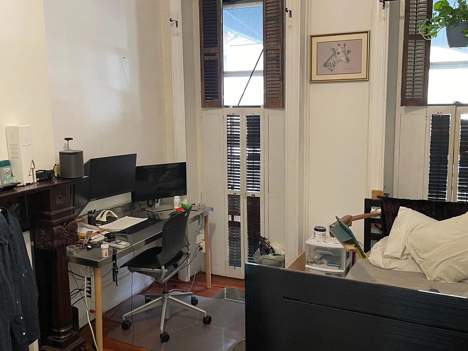 2 bed, 555 sqft, $1,600 — Photo 4