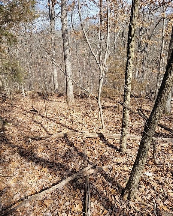 1st image of Cullen Hills Dr #7