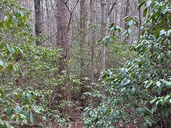 2nd image of Street Place Loop