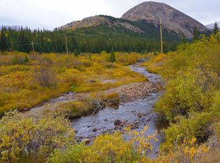 106 County Road 12 #A, Alma, CO 80420