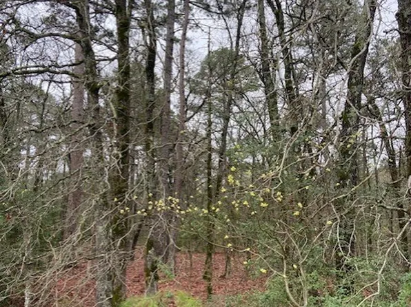 2529 County Road 3540, Hawkins, TX 75765