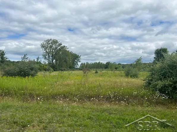 Dice Rd, Freeland, MI 48623